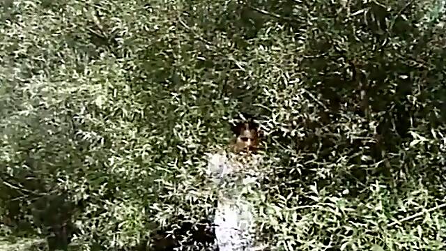 Elena Del Monaco - Curvy Milf Sucks Fat Cock In Steamy Hut