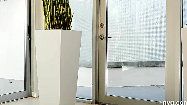 Vixey - Omg, The Latest Nvg