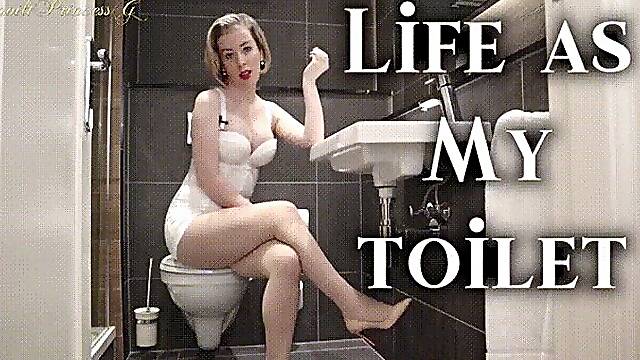 Life as My toilet